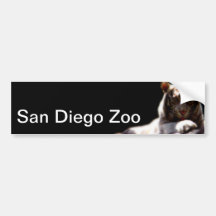 De Tijger van de Dierentuin van San Diego Bumperstickers