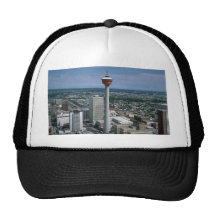 De Toren van Calgary, Alberta, Canada Mesh Pet