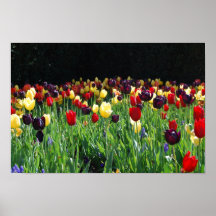 De Tuin van de bloem Plaat