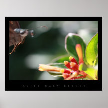 DE TUIN VAN DE VLINDER POSTERS