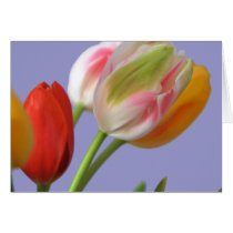 De tulp kleurt Kaart kaarten