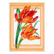 De Tulp van de papegaai met Grens Aankondigingen