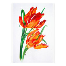 De Tulpen van de papegaai Persoonlijke Aankondigingen