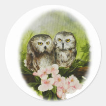 De Uilen die van het baby op klantgerichte product Ronde Sticker