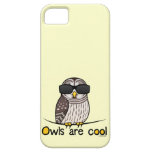 De uilen zijn koel Case-Mate iPhone 5 hoesjes