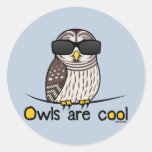 De uilen zijn koel! ronde stickers