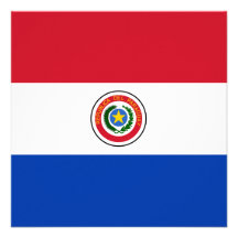 De Uitnodiging van de Vlag van Paraguay