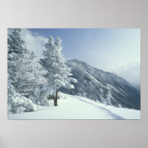 De V.S., NH, Sneeuw behandelde bomenSlepen Snoesho Print