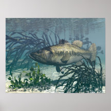 De Vangst van Nice Posters