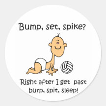 De Vastgestelde Aar van de Buil van VolleyChick Sticker