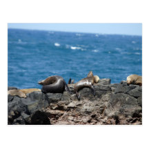 De Verbindingen Phillip Island van het bont Wens Kaart