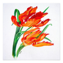 (De Vierkante) Tulp van de papegaai Custom Uitnodigingen