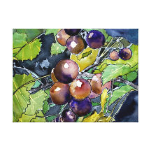 de vigne de raisins de pourpre toujours peinture d impressions sur toile