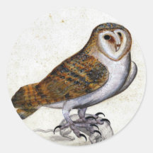 De vintage Illustratie van de Uil Stickers