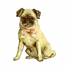 De vintage Pug Speld van het Puppy Uitsnede