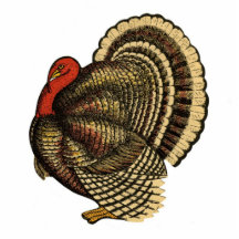 De vintage Speld van Turkije van de Thanksgiving Acryl Uitsnede