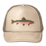 De Vissen van de Forel van de regenboog Petten Met Netje