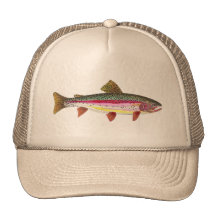 De Vissen van de Forel van de regenboog Petten Met Netje