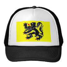 De vlag van Vlaanderen, België Petten