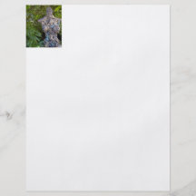 De Vlieger van het Beeldhouwwerk van de Tuin van K Folders