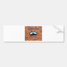 De vlinder Costa Rica van Morpho Bumperstickers