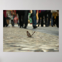 De vlinders en cobbled wegen afdruk