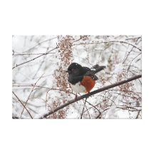 De Vogel van de winter in de Sneeuw Gallerij Wrap Canvas