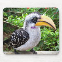 De vogel van Hornbill het dichte omhoog bekijken c Muismatten