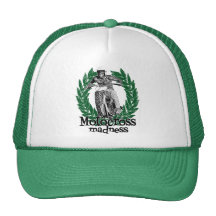 De waanzin van de motocross pet