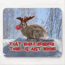 De waarheid over Rudolph Muis Mat