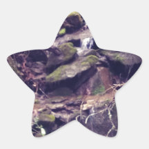De Waterval van de wildernis Ster Sticker