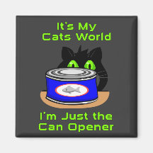 De Wereld van katten Magneten