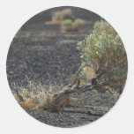 De Woestijn van de alsem Ronde Sticker