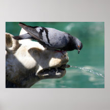De Wolf van de schreeuw Poster