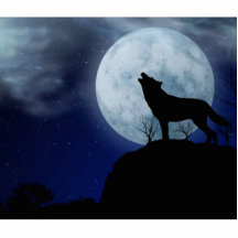 De Wolf van de volle maan Fotobeeldjes