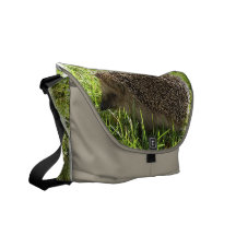 De Zak van de Boodschapper van de egel Messenger Bag