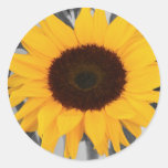 De Zonnebloem van de hoop Ronde Sticker