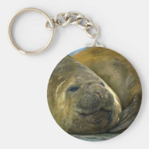 De zuidelijke Verbindingen van de Olifant Sleutelhanger