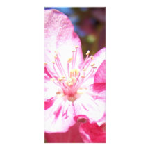 Dedans bourdonnées fleurs de Crabapple Carte Double Customisable