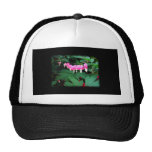 Défenseurs de la veuve et de l'orphelin. Fleurs ro Casquettes