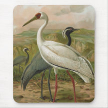 Demoiselle et grues sibériennes tapis de souris
