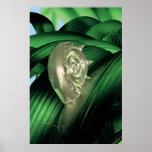 Dépêcher l'escargot affiche