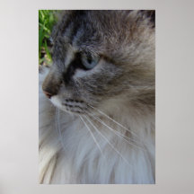 Des autres regardent posters