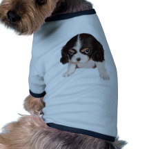 Destroyer Manteaux Pour Animaux Domestiques