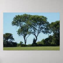 deux arbres affiche