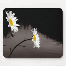 Deux marguerites - couleur sélective, noire et bla tapis de souris