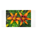 deux oranges et lillies rouges de tigre photocarte