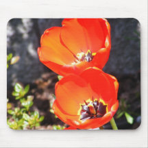 Deux tulipes tapis de souris