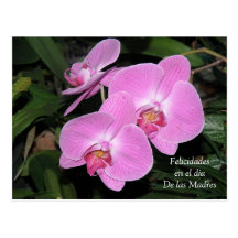 Dia DE las Madres van Felicidades Wens Kaart
