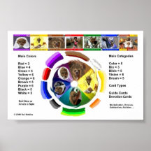 Diagramme de jeu affiche
